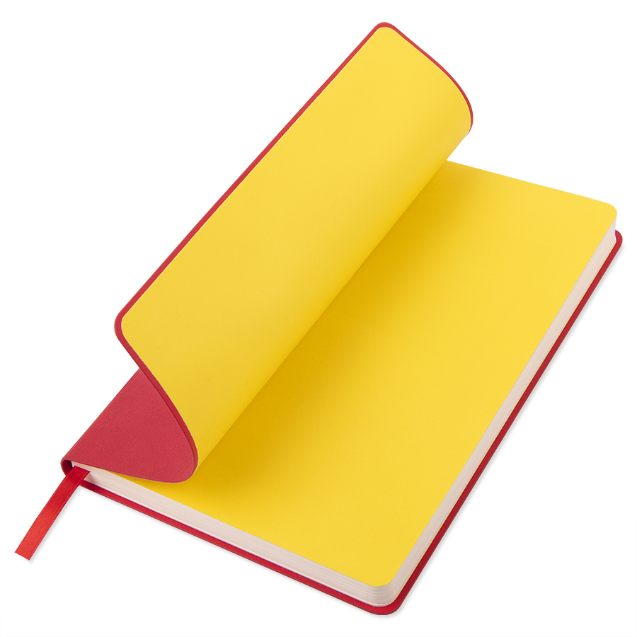 Ежедневник недатированный 