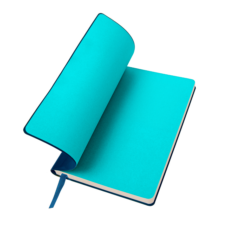 Ежедневник недатированный 