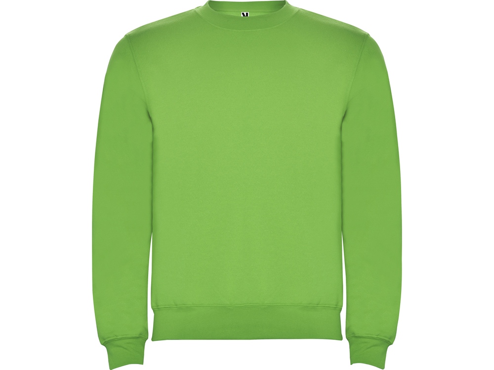 Свитшот с начесом Clasica детский