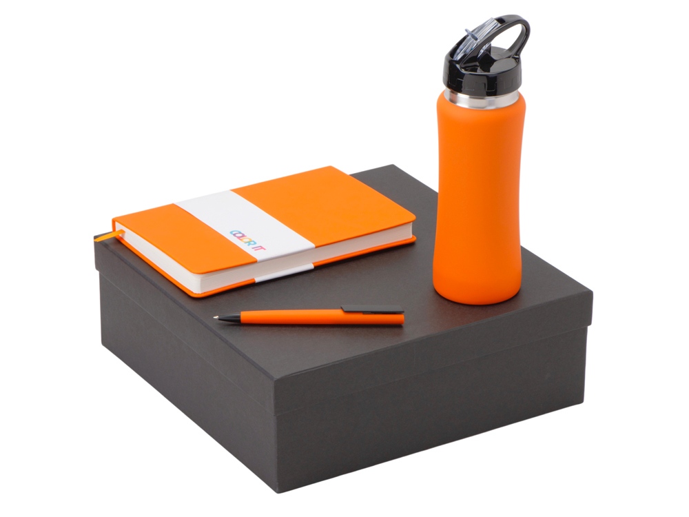 Подарочный набор c блокнотом C2, ручкой и бутылкой