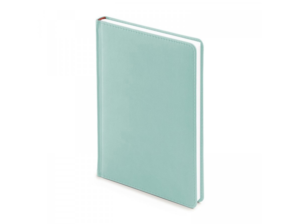 Ежедневник недатированный А5 Velvet