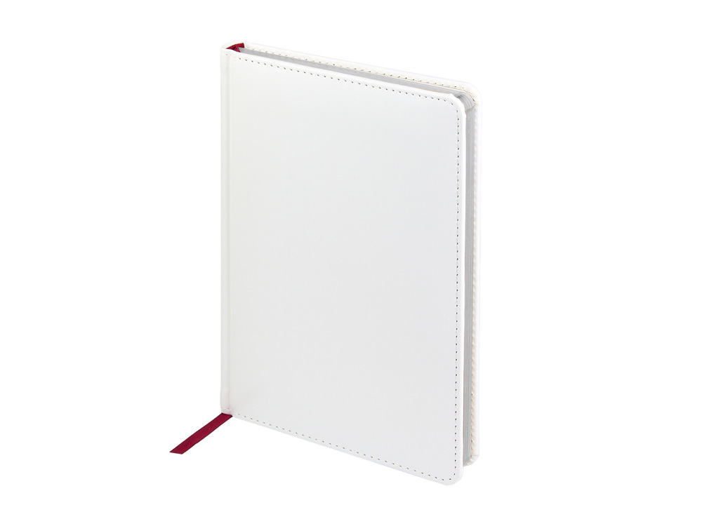 Ежедневник недатированный А5 Sidney Nebraska с серебряным срезом