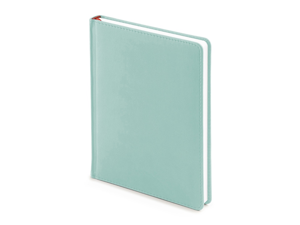 Ежедневник недатированный А6+ Velvet