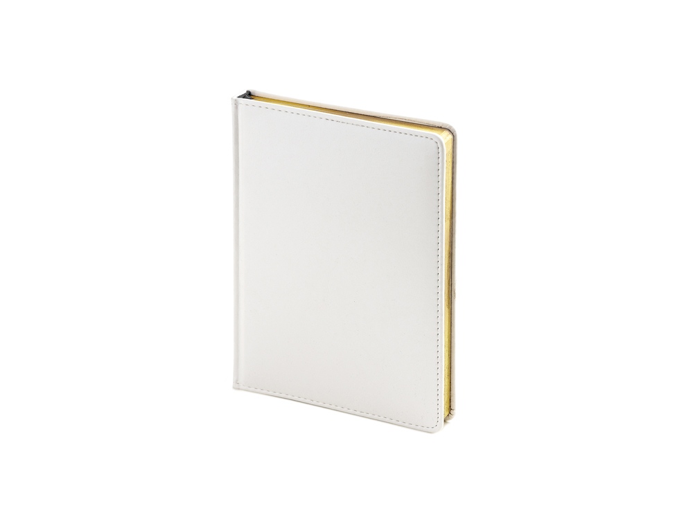 Ежедневник недатированный А6+ Sidney Nebraska с золотым срезом