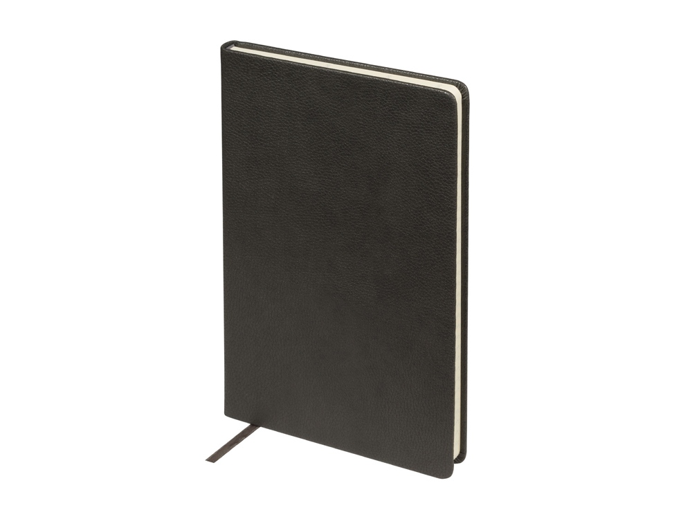 Ежедневник А5 датированный Megapolis Loft на 2026