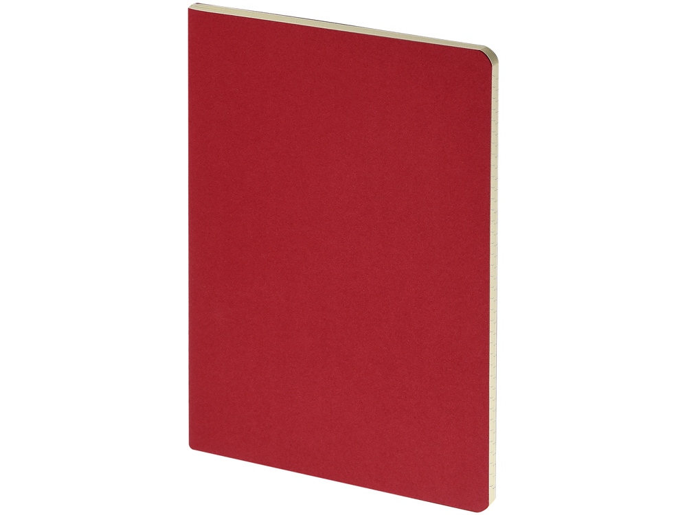 Бизнес-тетрадь А4 Pragmatic