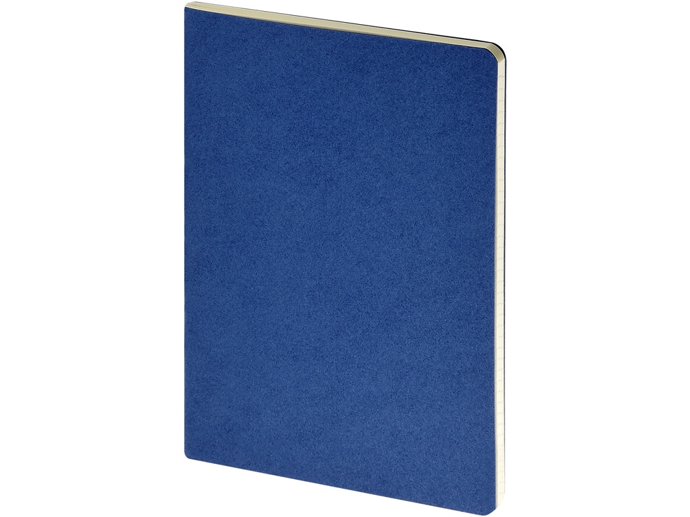 Бизнес-тетрадь А4 Pragmatic