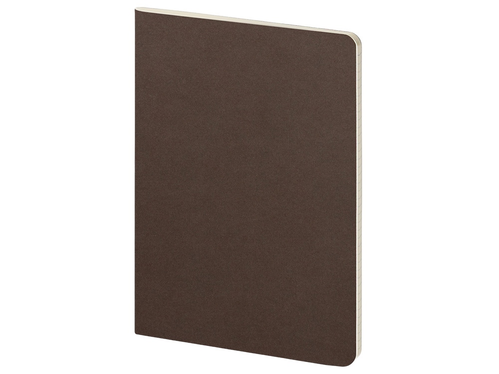 Бизнес тетрадь А5 Pragmatic