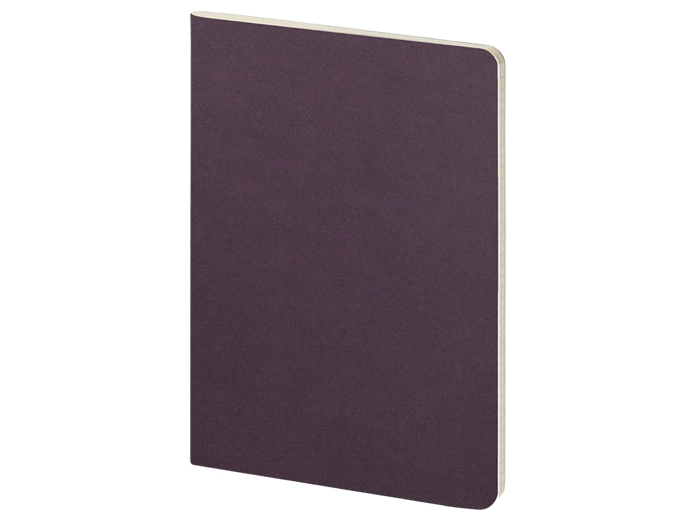 Бизнес тетрадь А5 Pragmatic