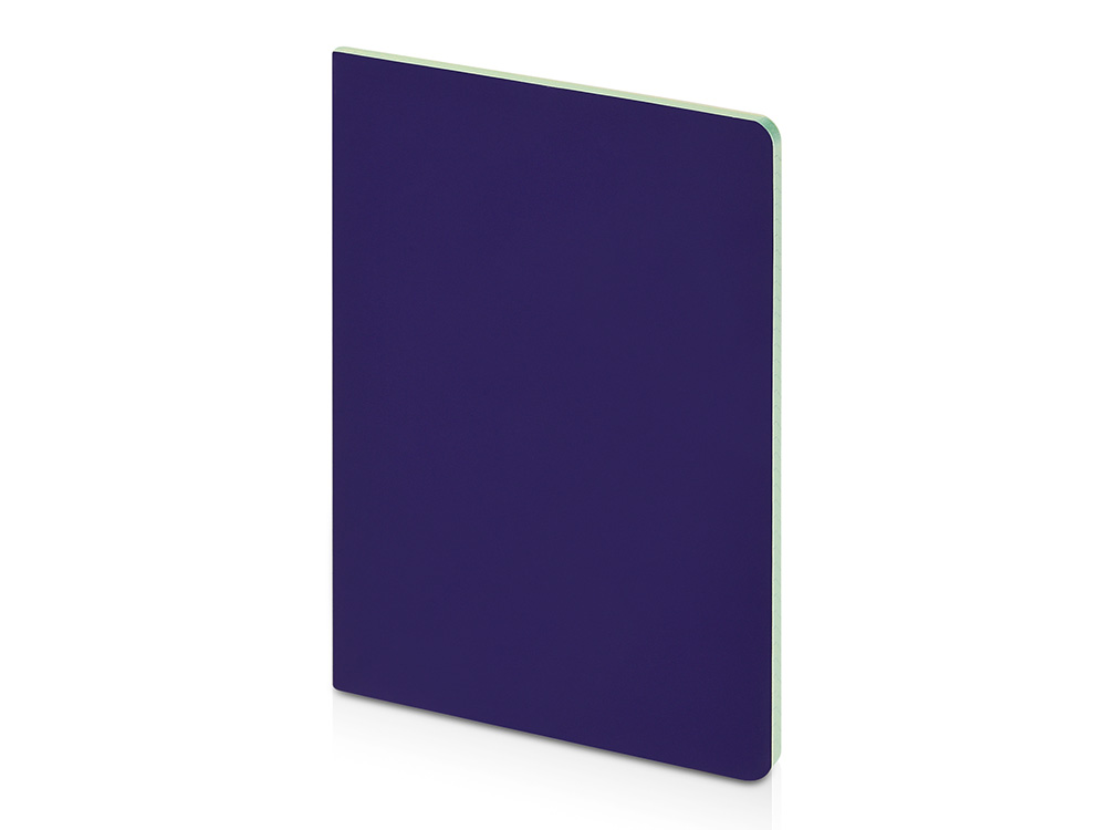 Бизнес-тетрадь А5 Pragmatic Contrast