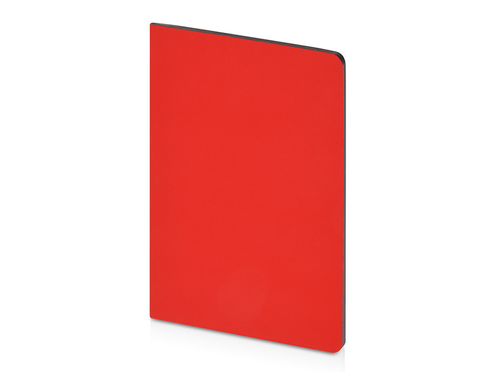 Бизнес-тетрадь А5 Pragmatic Contrast