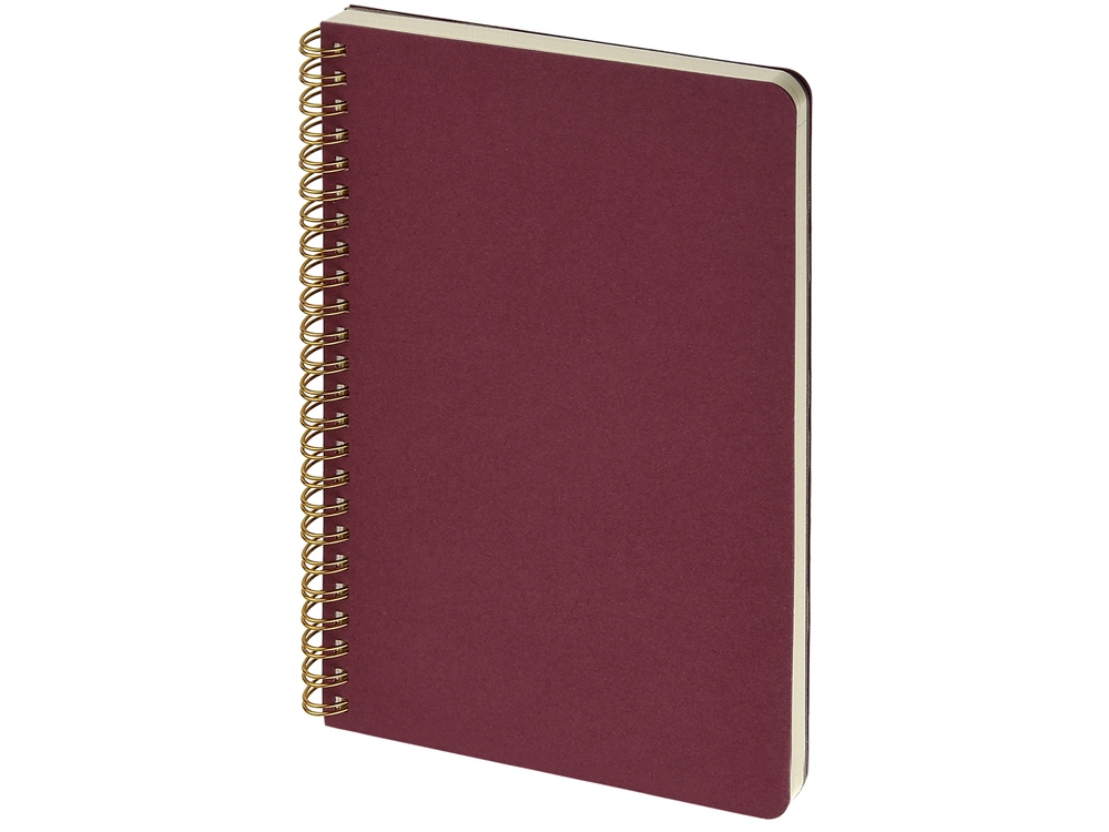 Бизнес тетрадь А5 Pragmatic