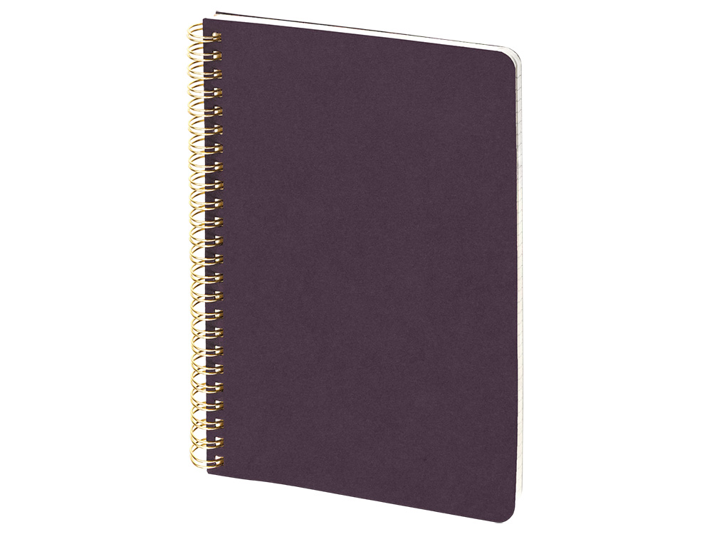 Бизнес тетрадь А5 Pragmatic