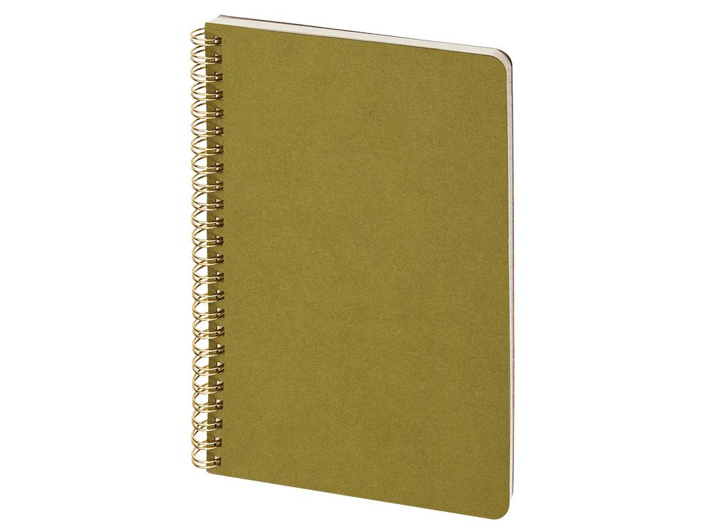 Бизнес тетрадь А5 Pragmatic