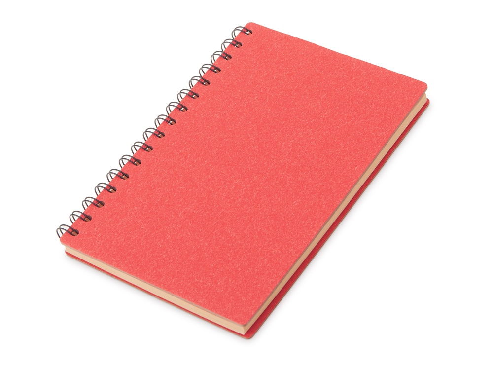 Блокнот А5 на спирали Mania