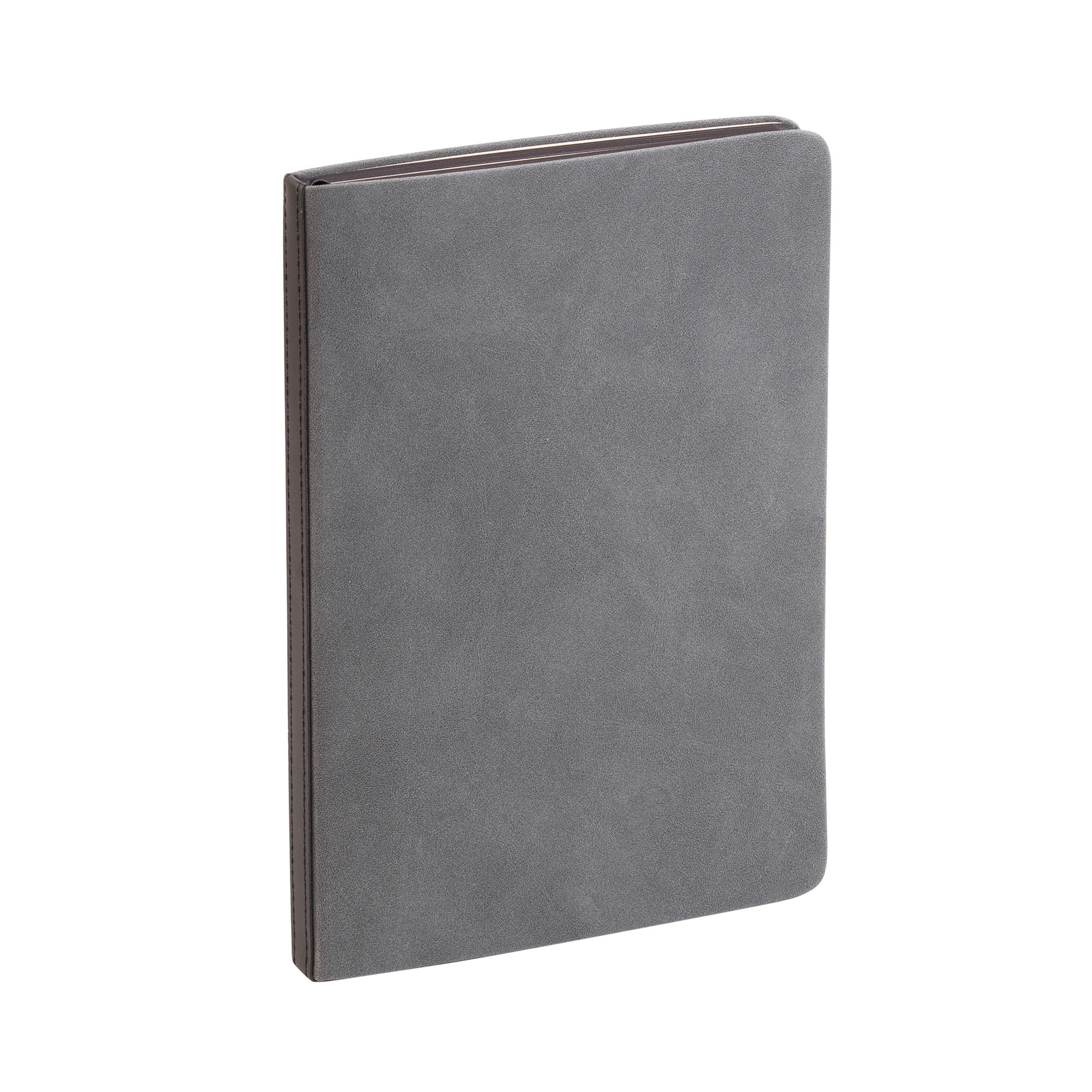 Ежедневник недатированный 