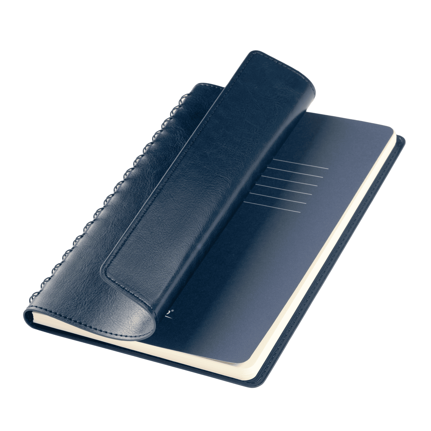 Ежедневник Vista Neo недатированный, синий